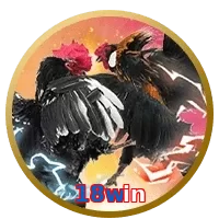 18win